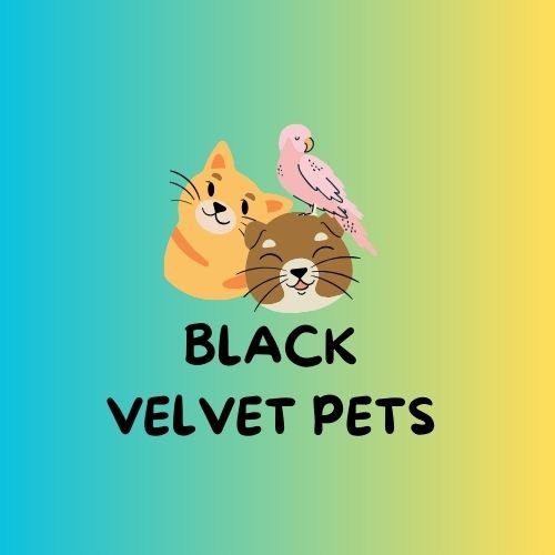 black-velvet-pets-Cute-Cartoon-Pet-Shop