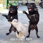 10+ Funny Dancing Dog Memes