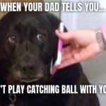 10+ Sad Dog Memes On The Internet