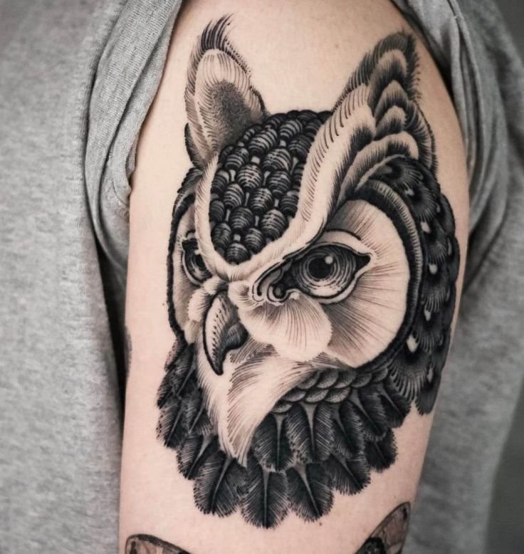 12+ Best Owl Head Tattoo Designs