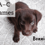 30+ Unique Yellow Labrador Dog Names For Female Puppies