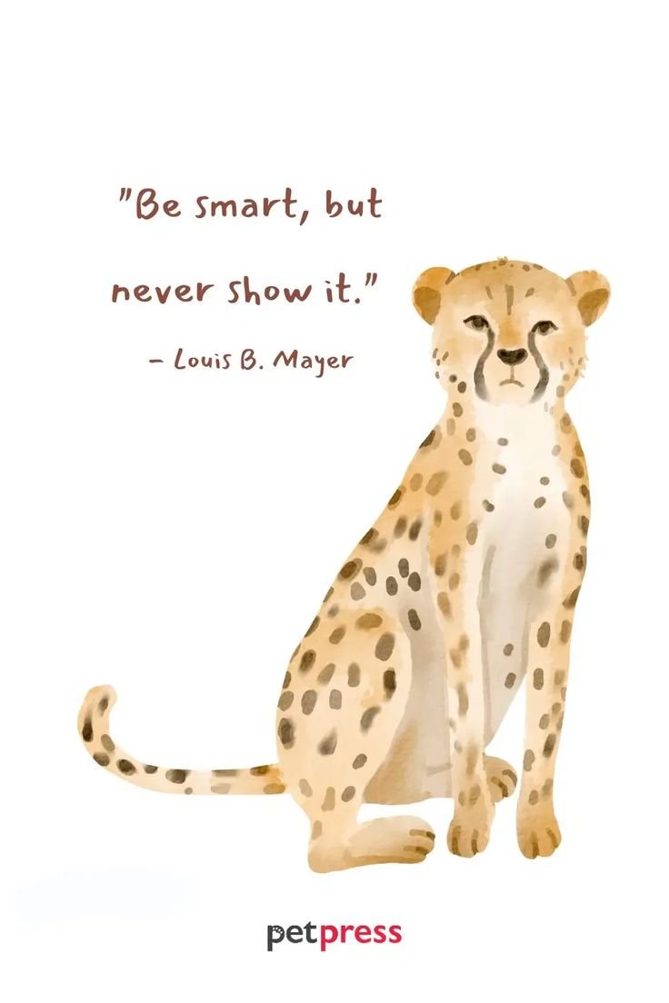 50+ Cheetah Quotes to Boost Your Success And Achievement