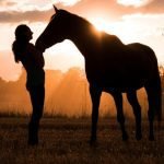 Top 80 Names for Paint Horses