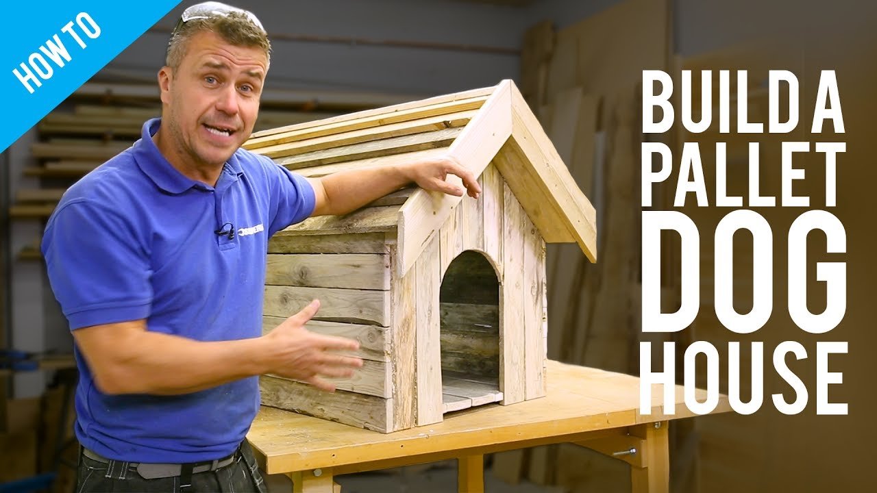 Diy Dog House for Large Dog: Easy Designs That Will Wow