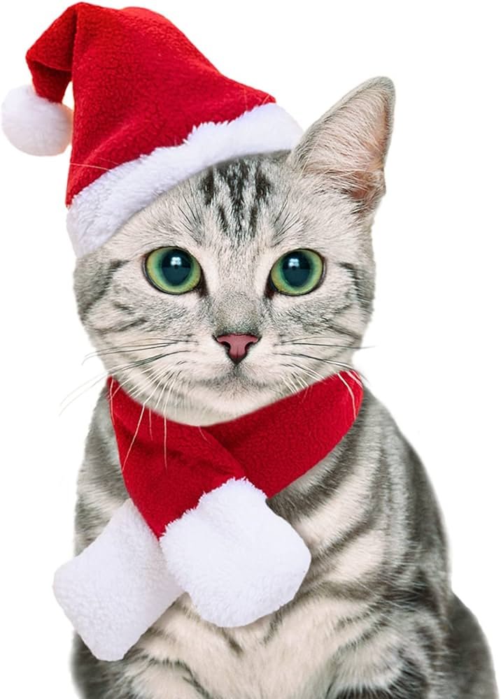 contact us Dressing Up Your Cat: The Guide to Cat Christmas Bow Ties
