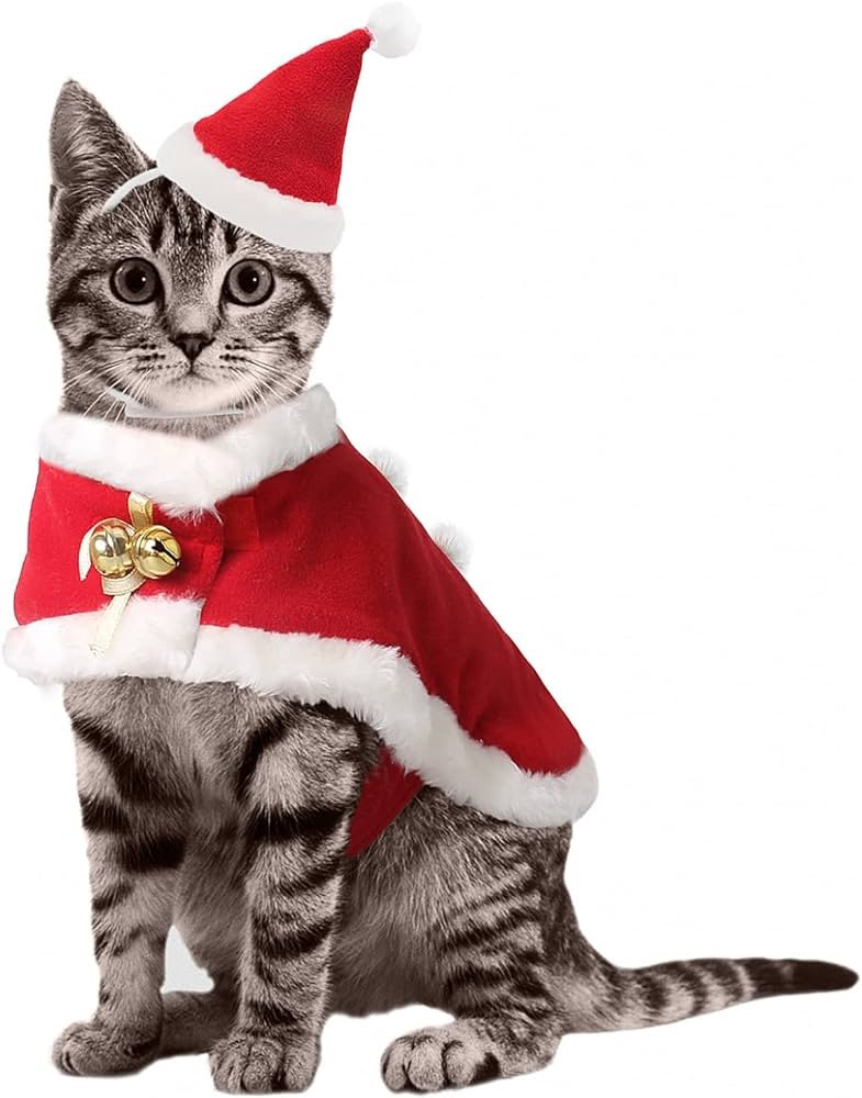 about us Feline Festivities: A Perfect Guide to Cat Christmas Costumes
