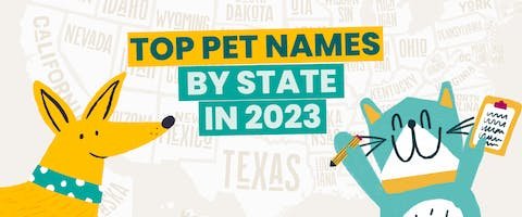 Top 120 Popular Pet Names: Trending Pet Names of 2023
