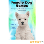 Top 255 Trendy Dog Names for Female Dogs