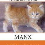 Understanding Manx Cat Behavior: Unique Traits And Care Tips