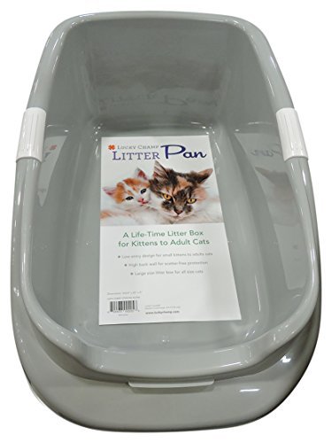 Lucky Champ Cat Litter Pan Review